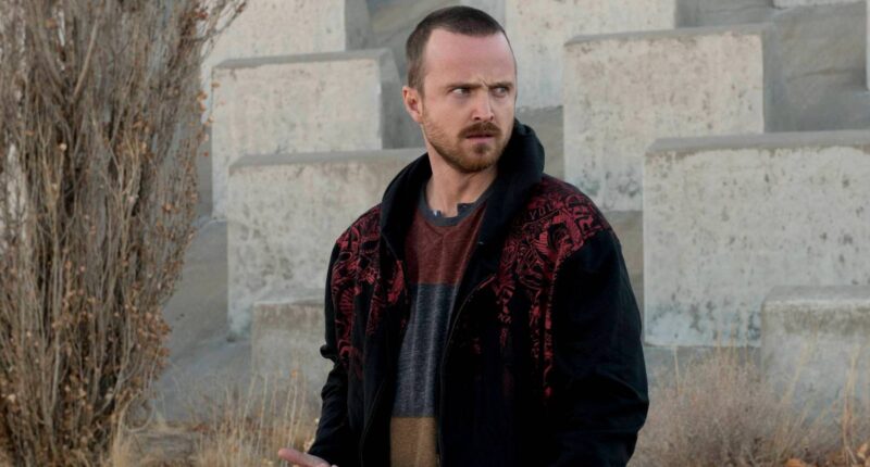 10 Crime Thriller Shows That Are Perfect From Start to Finish