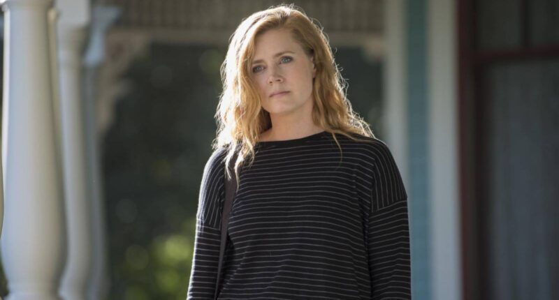 10 Greatest HBO Miniseries You’ll Wish You Watched Sooner