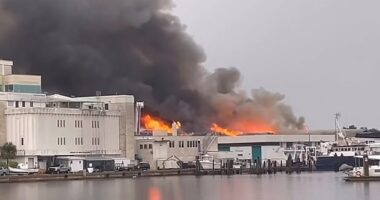 Thick plumes of smoke could be seen rising above a commercial building near the University of South Florida St. Petersburg as a two-alarm fire prompted a major emergency response