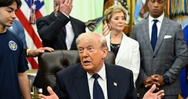 Trump said that he made the decision to pause Project Freedom after requests from Pakistan and other nations
