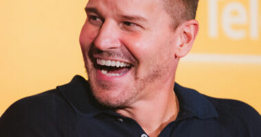 David Boreanaz: Bio And Career Highlights