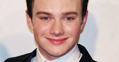 Chris Colfer: Bio And Career Highlights