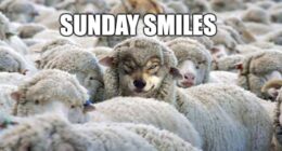 Sunday Smiles – HotAir