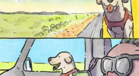 7 New Emotional &ldquo;Sam & Oscar&rdquo; Stories About The Love And Fear That Come With Having Pets