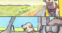 7 New Emotional &ldquo;Sam & Oscar&rdquo; Stories About The Love And Fear That Come With Having Pets