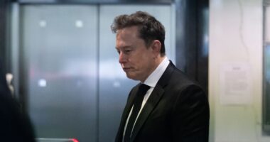 A major union warns regulators that Elon Musk’s SpaceX IPO ‘defies financial logic’