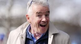 Ryanair boss Michael O'Leary said it had been a record year, but uncertainty over fuel prices weighed