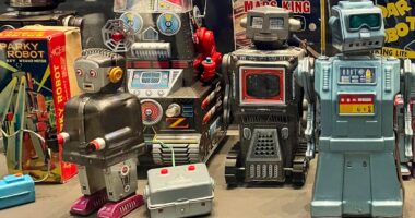 Airbnb host sues start-up that rented his place to test robots that do chores