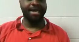 Oreoluwa Oloruntoba, pictured above in a virtual court hearing, asked a judge if he could rebook his flight after he was arrested for a fight with TSA agents
