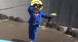 American Tourists Put Behind Bars For Entering Punch The Monkey’s Enclosure Wearing Emoji Costumes