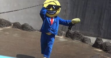American Tourists Put Behind Bars For Entering Punch The Monkey’s Enclosure Wearing Emoji Costumes