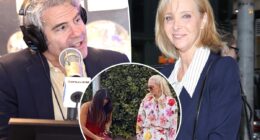 Andy Cohen denies 'RHOBH' 'fakery' after Lisa Kudrow called him out on 'WWHL'