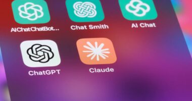 Anthropic and OpenAI are following Palantir’s playbook as they seek to grow AI usage