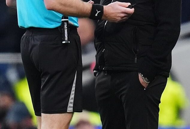 Tottenham Hotspur manager Roberto De Zerbi has questioned Jarred Gillett's mentality after the Aussie referee denied a late penalty claim during his team's 1-1 draw with Leeds United