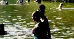 'Selfish' sunseekers have sparked fury after they returned to a Hampstead Heath wildlife pond for a third consecutive day