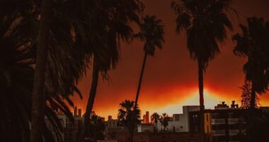 Bass, Raman Left Sputtering As Spencer Pratt Brings Savage 'Reality' Star Power to LA Mayoral Debate – RedState