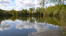 Swanholme Lakes is a nature reserve about three miles from Lincoln city centre