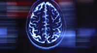 An MRI scan of a human brain (file image). One concern on this new frontier of technology is the ethics behind using human cells to create a 'biological computer'