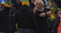 Nantes manager Vahid Halilhodzic, 73, confronted pitch-invading ultras on the field on Sunday