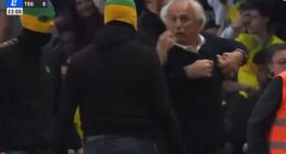 Nantes manager Vahid Halilhodzic, 73, confronted pitch-invading ultras on the field on Sunday