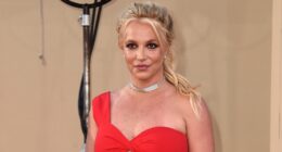 Britney Spears charged with driving under the influence of alcohol and drugs DUI
