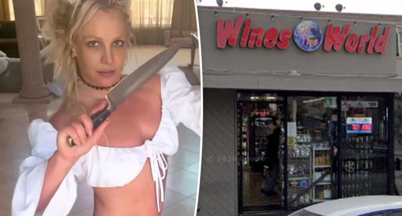 Britney Spears caught on video at liquor store before alleged knife-wielding restaurant antics