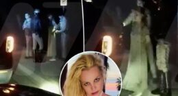 Britney Spears fails sobriety test in DUI arrest video
