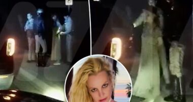 Britney Spears fails sobriety test in DUI arrest video