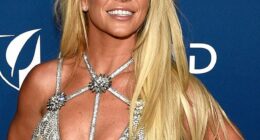 Britney Spears alluded mysteriously to the 'interesting year' she has lived through, in a since-deleted Instagram post this Thursday; pictured 2018