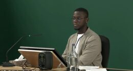 Elias Calocane (pictured) was quizzed at the public inquiry today, which is examining events leading up to the killings carried about by his brother Valdo Calocane  in June 2023, about a series of text messages sent by his brother in 2020