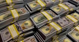 Bureaucrats Improperly Paid Out $186 Billion In Tax Money In 2025