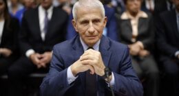 An active CIA agent has accused Dr Anthony Fauci of orchestrating a cover-up that derailed American spies from blaming the COVID pandemic on China