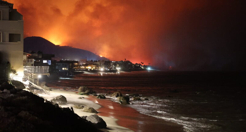Palisades Wildfire 2025