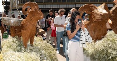 Garden enthusiasts have had enough of influencers and celebrities taking centre stage over the flowers at the Chelsea Flower Show