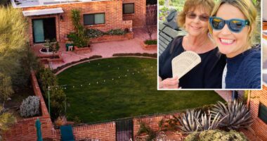 Chilling 'last stand' clue that shows Nancy Guthrie was alive when abducted: retired FBI agent