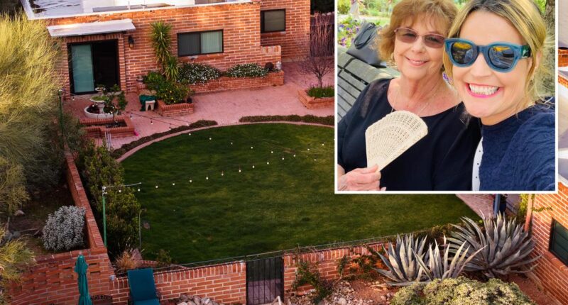 Chilling 'last stand' clue that shows Nancy Guthrie was alive when abducted: retired FBI agent