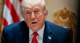 The fund was created as part of a settlement from Trump's $10 billion lawsuit against his own Treasury Department over the leak of his 2019 tax return