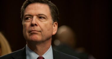 Comey warns of Trump’s ‘bottomless desire’ for revenge amid prosecution for seashells picture