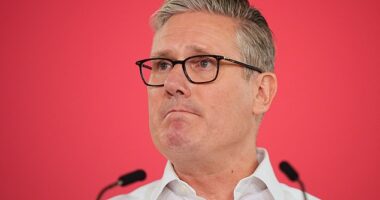 According to one of Starmer¿s allies, as Monday¿s trickle of MPs calling for his resignation turned into a flood, he finally acknowledged that his position had become untenable