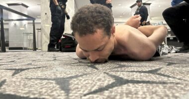 DHS says it may have an alleged motive for the attack during the White House Correspondents’ Dinner