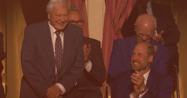 David Attenborough live: 100-year-old broadcaster receives standing ovation at birthday bash