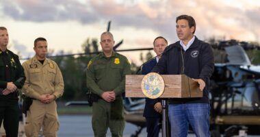 DeSantis Approves New Florida Map Ahead Of Midterms