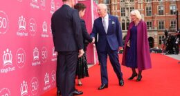 Declan Donnelly found himself at the centre of a funny optical illusion as it looked like he was wearing a pleated skirt as he greeted King Charles and Queen Camilla on the red carpet