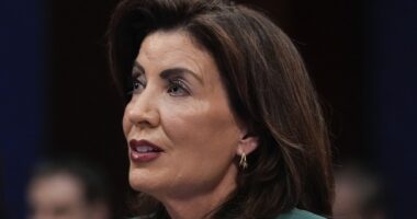 Defiant Upstate Exec Vows to Rebel Against Hochul’s Newly Passed Radical Anti-ICE Law – RedState