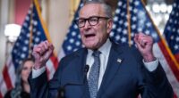 Democrats Blast Schumer For Not Embracing Nazi-Tattooed Platner – HotAir