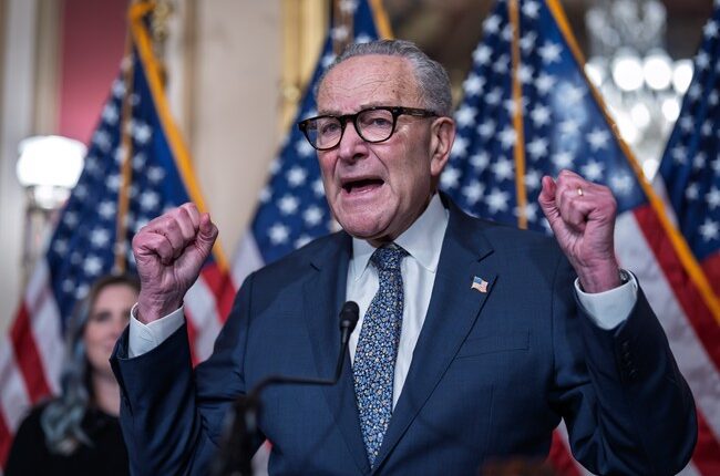 Democrats Blast Schumer For Not Embracing Nazi-Tattooed Platner – HotAir