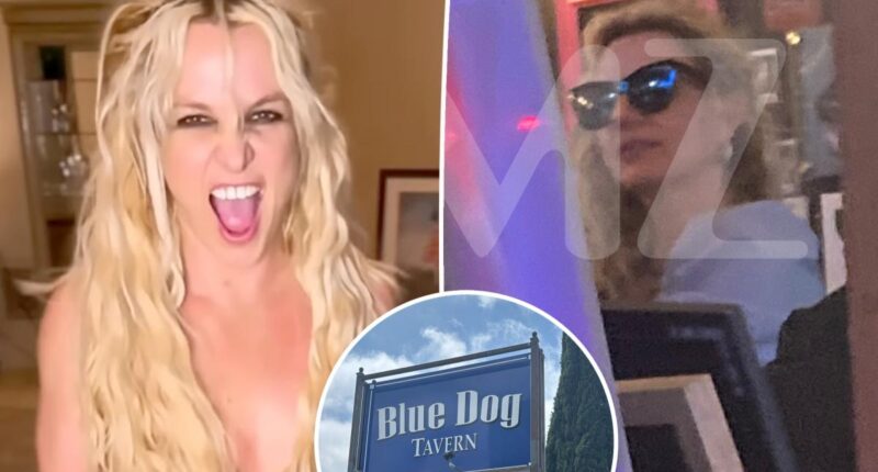 Dinner guest lifts lid on Britney Spears’ erratic ‘outbursts' at LA restaurant