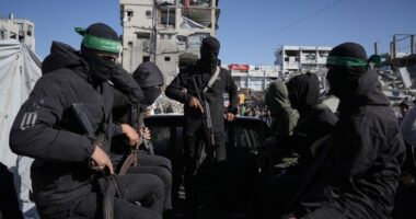 Disarm and Comply – Or Else – HotAir