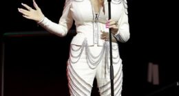 Dolly Parton is one of the most iconic musical artists in the world, though surprisingly she's never been a part of the judges panel on either American Idol or The Voice