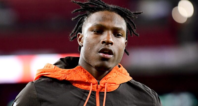 Ex-Bears Running Back Retires From NFL, Takes Job With Browns